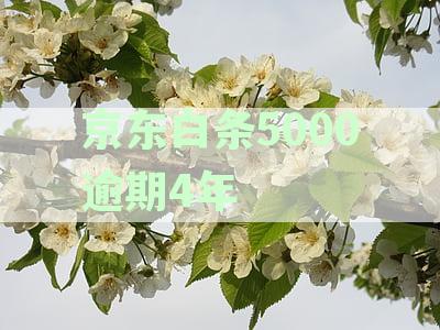四年逾期未还，将如何处理？详解逾期后果及可能面临的年会问题