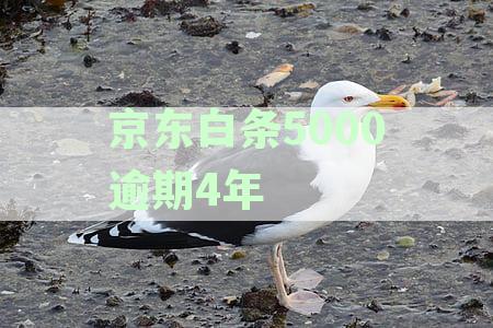 逾期欠款处理指南：逾期5000多元上门催收的可能性与应对措