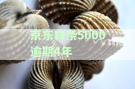 京东白条5000逾期4年