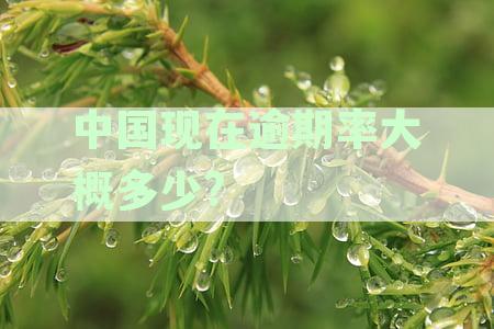 最新资讯：中国全国贷款与信用卡逾期率摘要，逾期人数及负债数据有多少