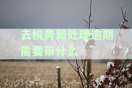 处理个税逾期申报，税务局需要准备哪些具体材料？