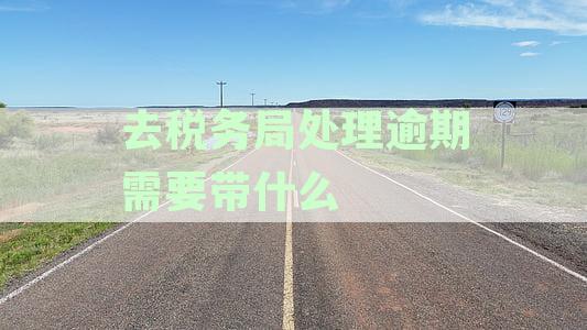 办理税务逾期手续：详尽指南及所需文件资料一览