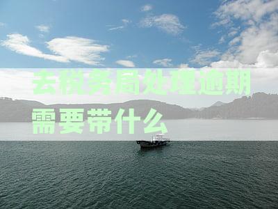 税务局如何办理逾期报税申报及缴纳罚款的具体步骤与处罚规定