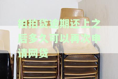 拍拍贷逾期还款后多久可重新借款及影响逾期还款的常见问题解析