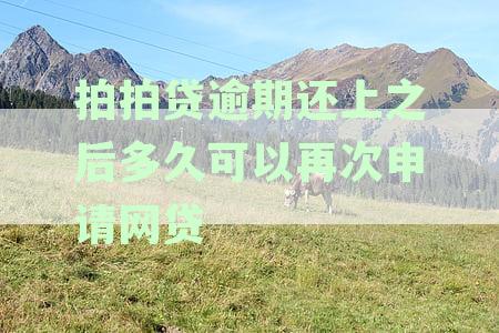 拍拍贷逾期还款11天后，贷款还清几天后还能再次借款吗？
