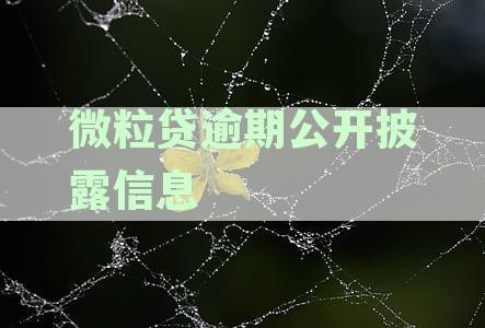 微粒逾期信息将被公开披露：通讯录真实数据曝光风险