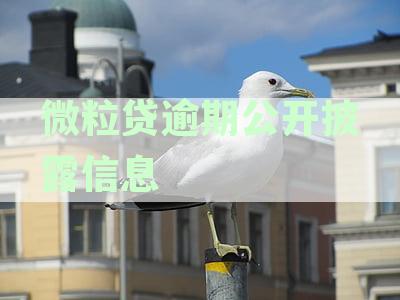 微粒贷逾期公开披露信息