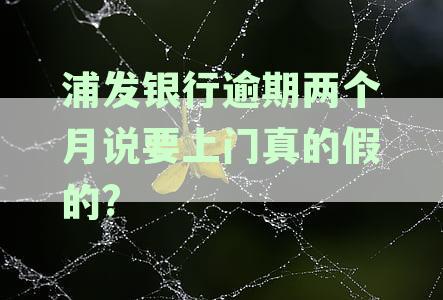 浦发银行信用卡逾期三个月，电话通知上门调查是否真的会执行？最新资讯解读