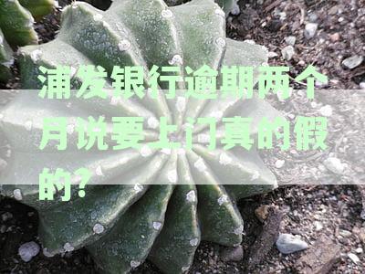 浦发银行逾期了10多天催收叫我全额不协商，是否真实情况？