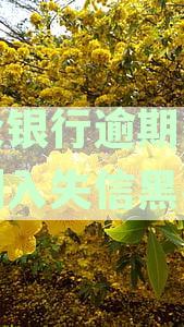 银行贷款逾期多久将影响信用记录，信用卡失信名单列入时间解析