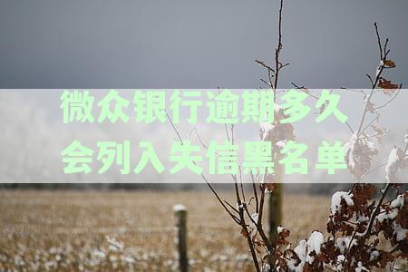 微众银行逾期后果：逾期多久会被起诉及具体影响如何