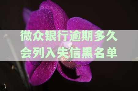 银行逾期不还多久会被起诉：逾期贷款起诉时间解析