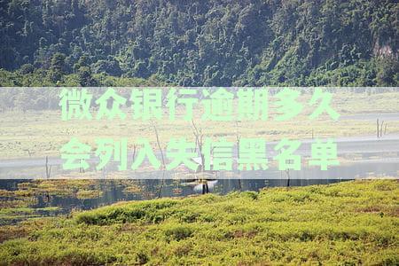 微众银行逾期多久会爆通讯录及其联系紧急联系人、被起诉时间与催收电话情况