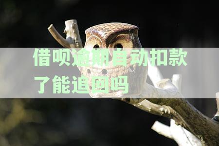 借呗逾期自动扣款失败后如何追回款及解决后续问题指南