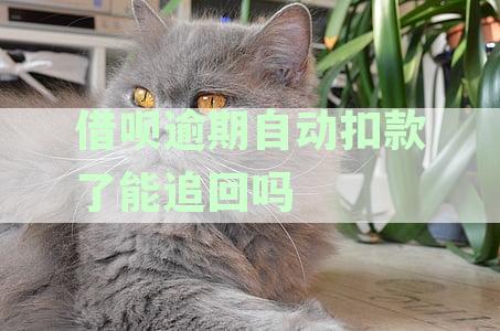 借呗逾期自动扣款了能追回吗安全吗：如何追回及注意事