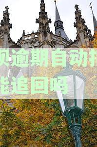 支付宝救命钱逾期自动扣款后如何追回，能否成功找回，详细资讯教你怎么办》