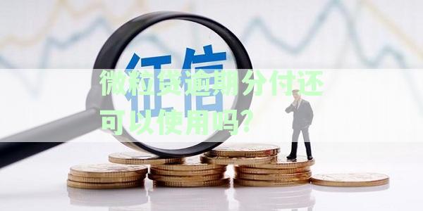 微粒贷逾期后分付使用情况详解：逾期影响、还款策略与解决方案