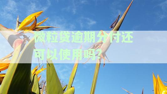 微粒贷逾期分付还可以使用吗?