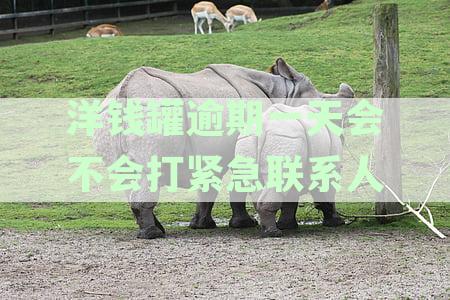 洋钱罐逾期一天紧急联系人多久会接到电话？通讯录联系人是如何被联系的