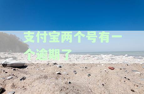 支付宝账户逾期影响及解决方案：如何处理一个账户逾期同时开设新账号的问题