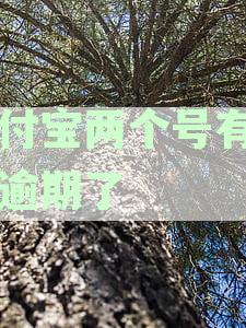 支付宝两个号有一个逾期了怎么扣除我的钱-支付宝两个号有一个逾期了怎么扣除我的钱呢