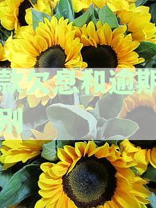 解析银行贷款逾期与欠息的区别：利息、罚息及信用卡贷款的什么影响