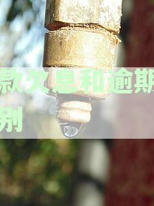 逾期欠息与逾期还款的区别及常见问题解析