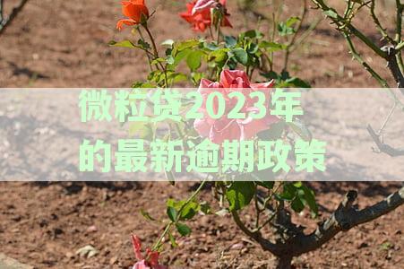 2021年微粒贷逾期最新消息：真实情况查询与当前逾期人数统计
