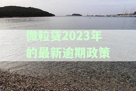微粒贷2023年的最新逾期政策