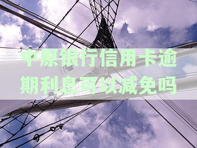 中原银行信用卡逾期仅一天，探究其对信用记录的即时影响