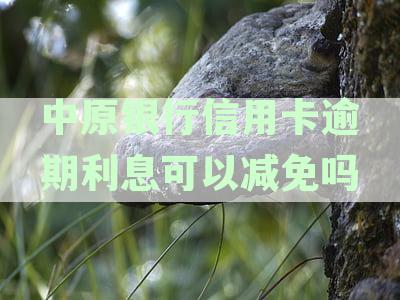 中原银行信用卡宽限期政策详解：申请条件、期限及注意事