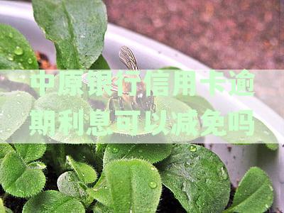 中原银行逾期几个月了有人打电话说减免怎么回事-中原银行贷款逾期一个月会有什么后果