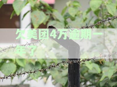 美团欠款逾期一年解决方案：如何应对4万元债务及可能的法律后果