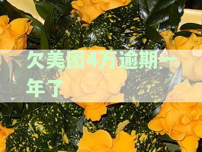 欠美团4万逾期一年了
