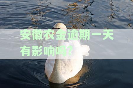 安徽农金逾期一天有影响吗怎么办：还款方式及逾期被起诉应对策略