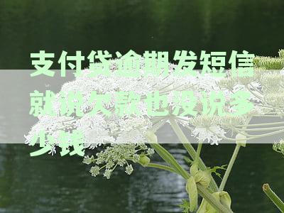 支付贷逾期发短信就说欠款也没说多少钱了如何处理及应对方法？