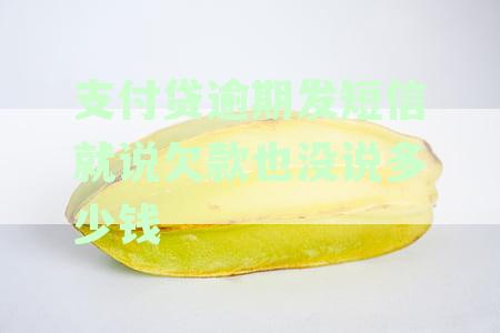 收到支付贷逾期短信仅说欠款未提具体金额，机构发短信该怎么处理和怎么办？
