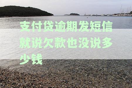 支付贷逾期发短信就说欠款也没说多少钱