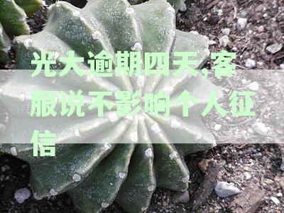 光大银行信用卡逾期还款影响征信详解：逾期几天会记入个人征信报告
