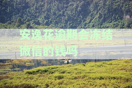 安逸花逾期会冻结微信的钱吗安全吗：逾期是否会影响个人银行卡及微信零钱？