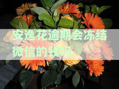 安逸花逾期会从微信零钱扣款嘛：逾期自动扣款及是否会冻结银行卡和零钱详解