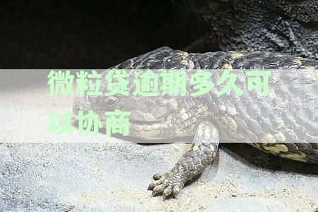 微粒贷逾期：全面解析何时需全额还款及逾期处理策略