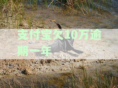 支付宝欠10万逾期一年会怎样：能否协商只还本金及处理方式探讨