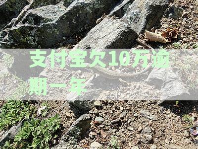 支付宝借呗逾期十万金额一年利息计算方法，利率多少详解析