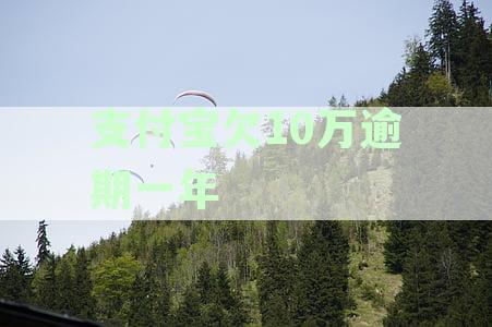 支付宝欠10万逾期一年