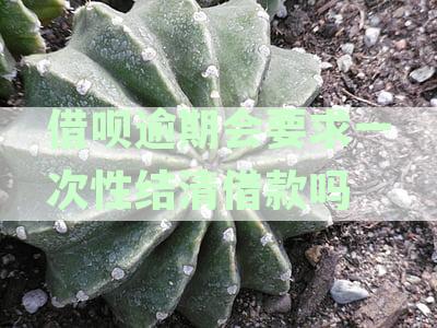 借呗逾期会要求一次性结清借款吗是真的吗及会被要求还清全部借款吗