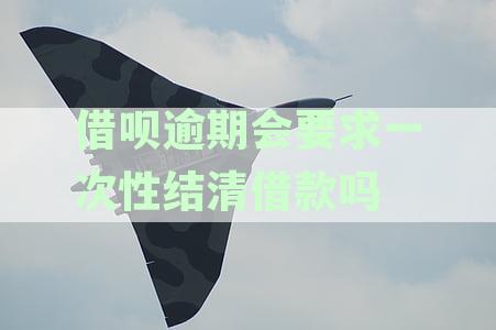 借呗逾期了要一次性还款吗：逾期后还款方式及安全性详解