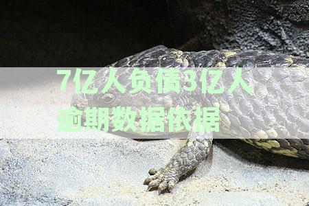 7亿人负债3亿人逾期数据依据：法律支撑与最新统计对比分析