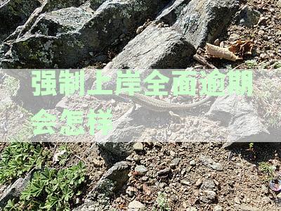 强制上岸全面逾期会怎样呢：逾期费用处理与后果解析