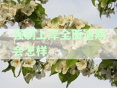 强制上岸后全面逾期会带来哪些后果？逾期怎么样，究竟怎么应对？
